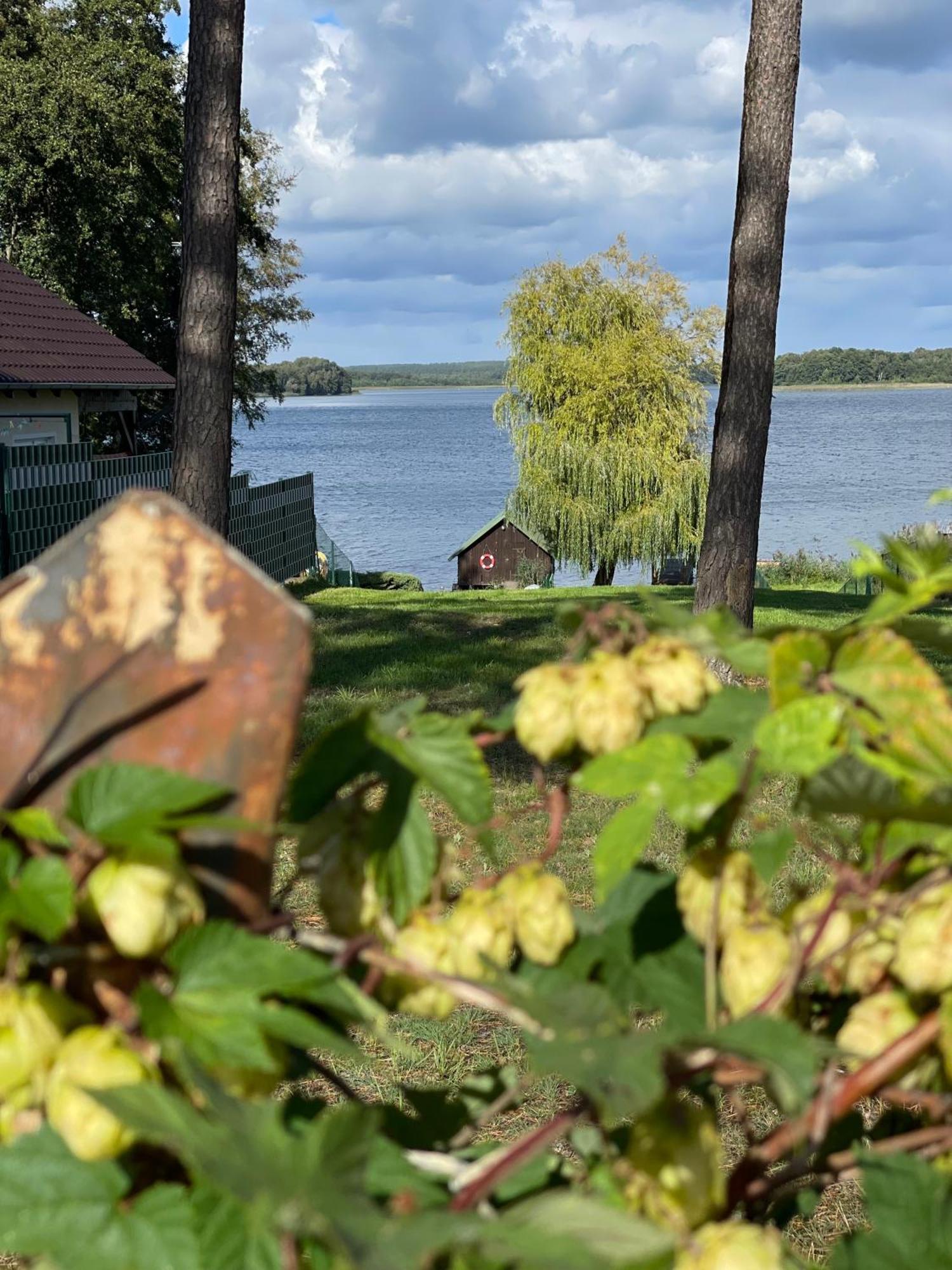 Urlaub Am Plaetlinsee - Haus Odin Wustrow  Exteriér fotografie