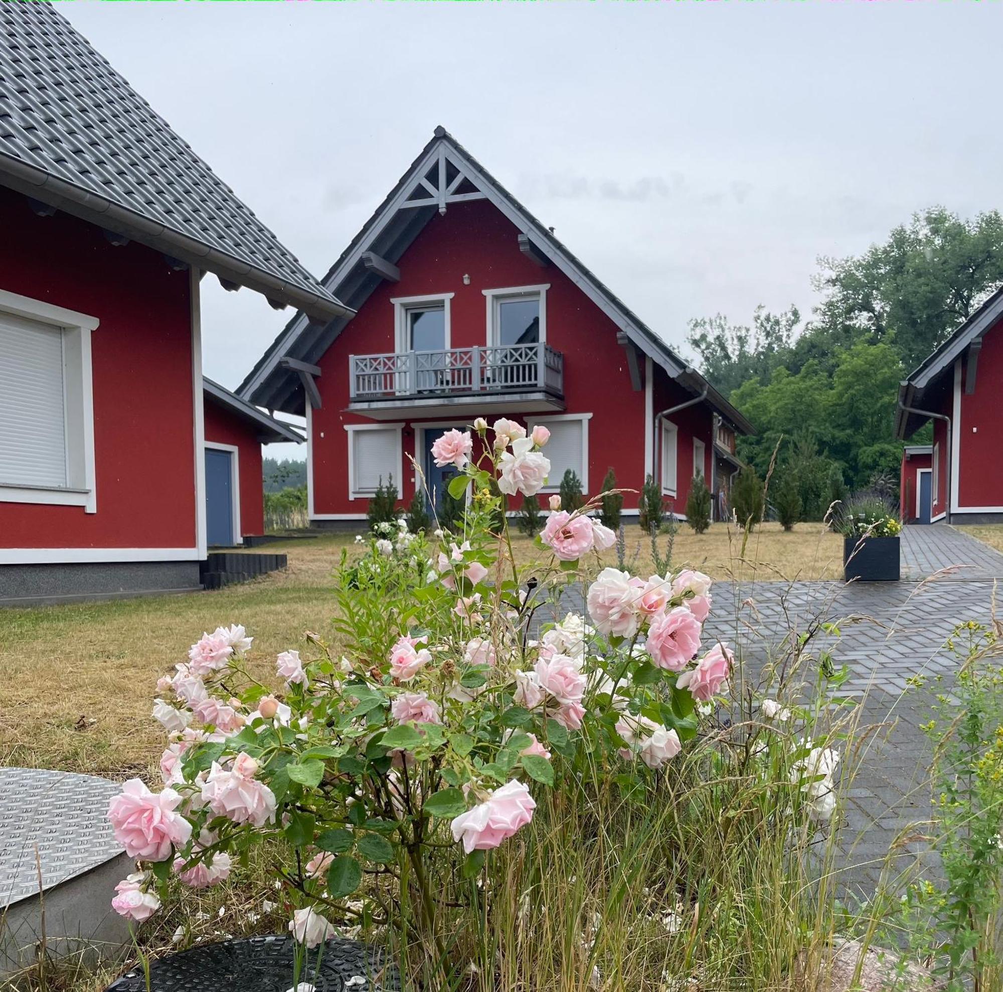 Urlaub Am Plaetlinsee - Haus Odin Wustrow  Exteriér fotografie